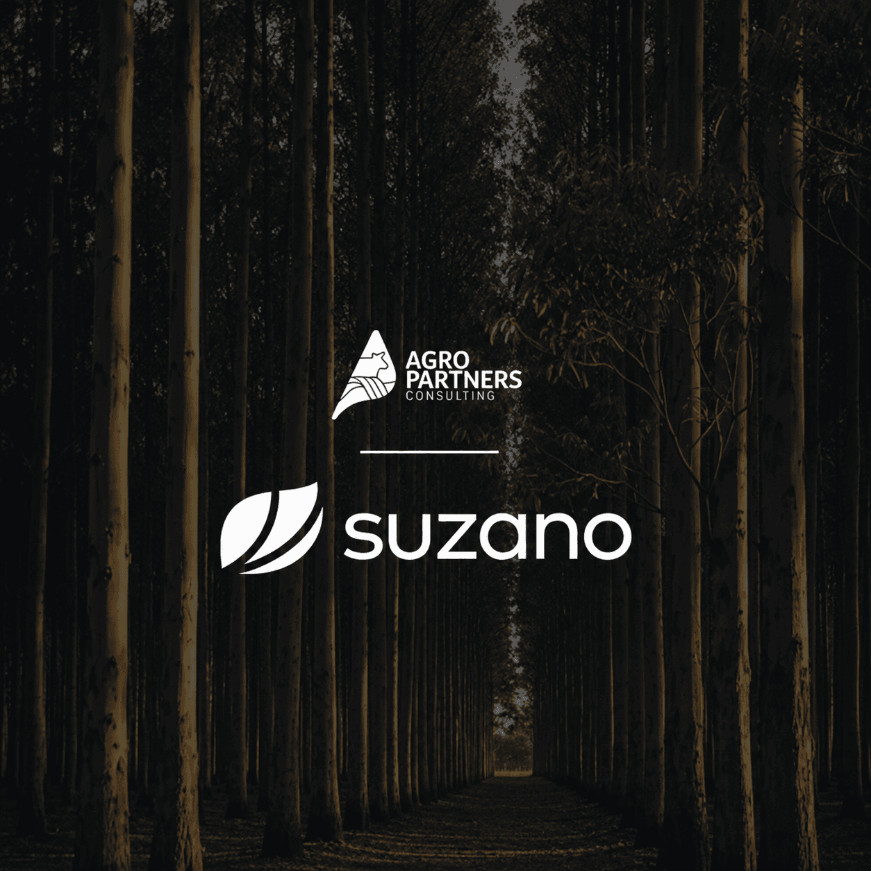 Banner Suzano