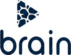 Brain